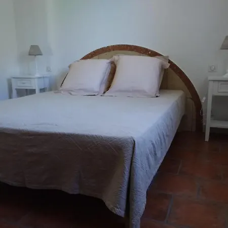 Casa Murtetu 3 Etoiles * 维琪奥港